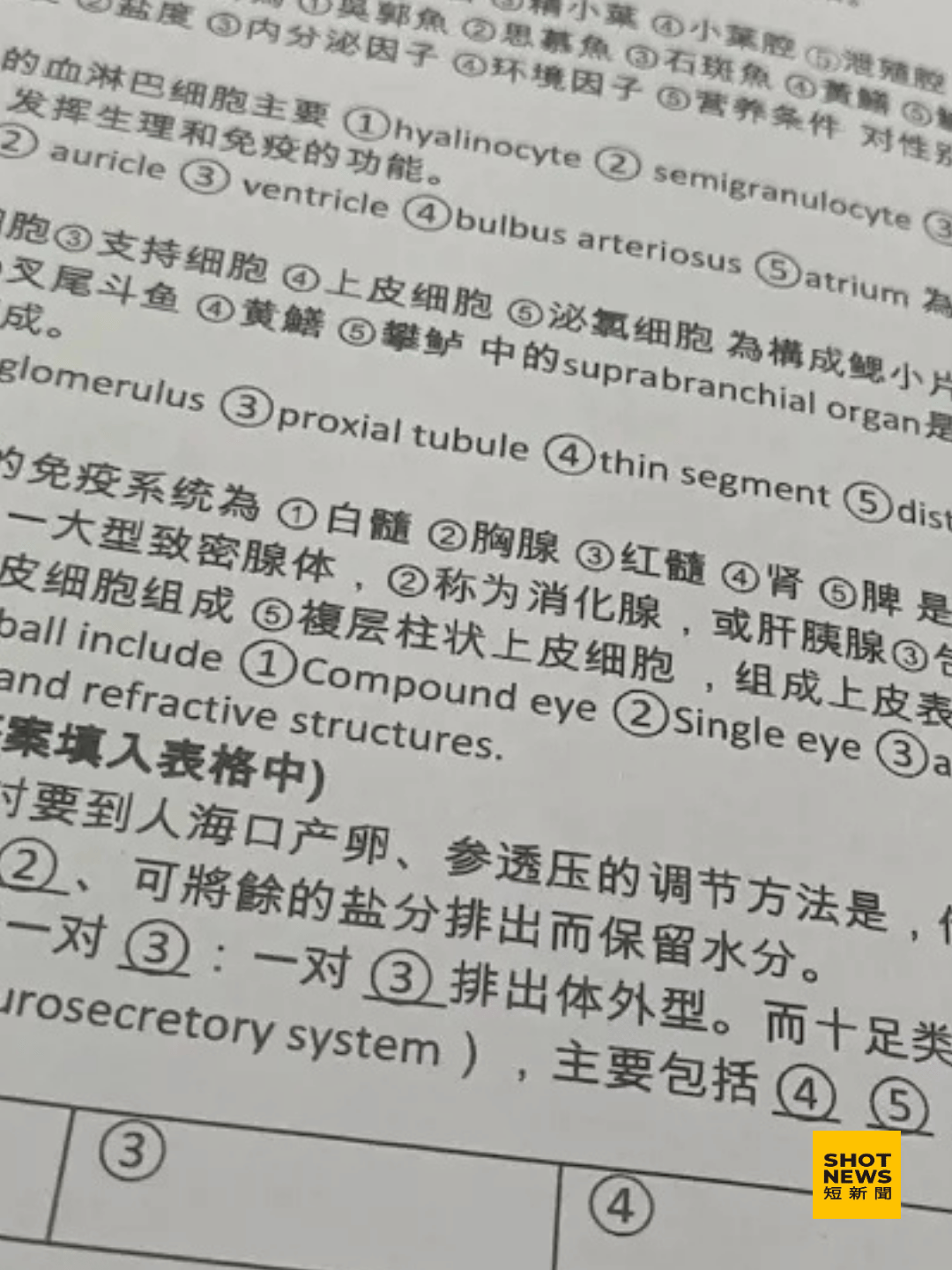 高科大考卷簡體字、名片標中國 校方不續聘