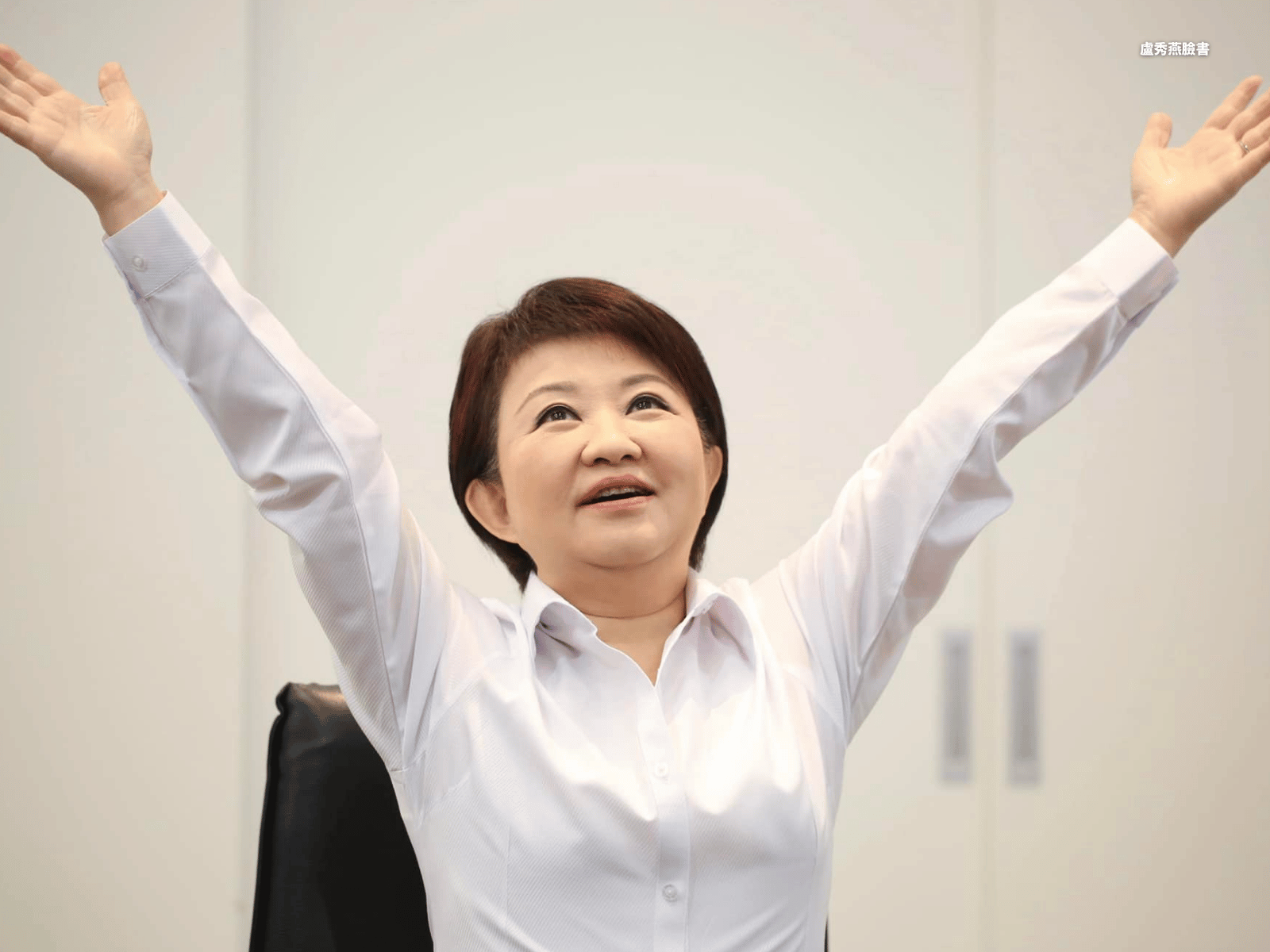 張善政配合中央 桃議員批盧秀燕只會作秀