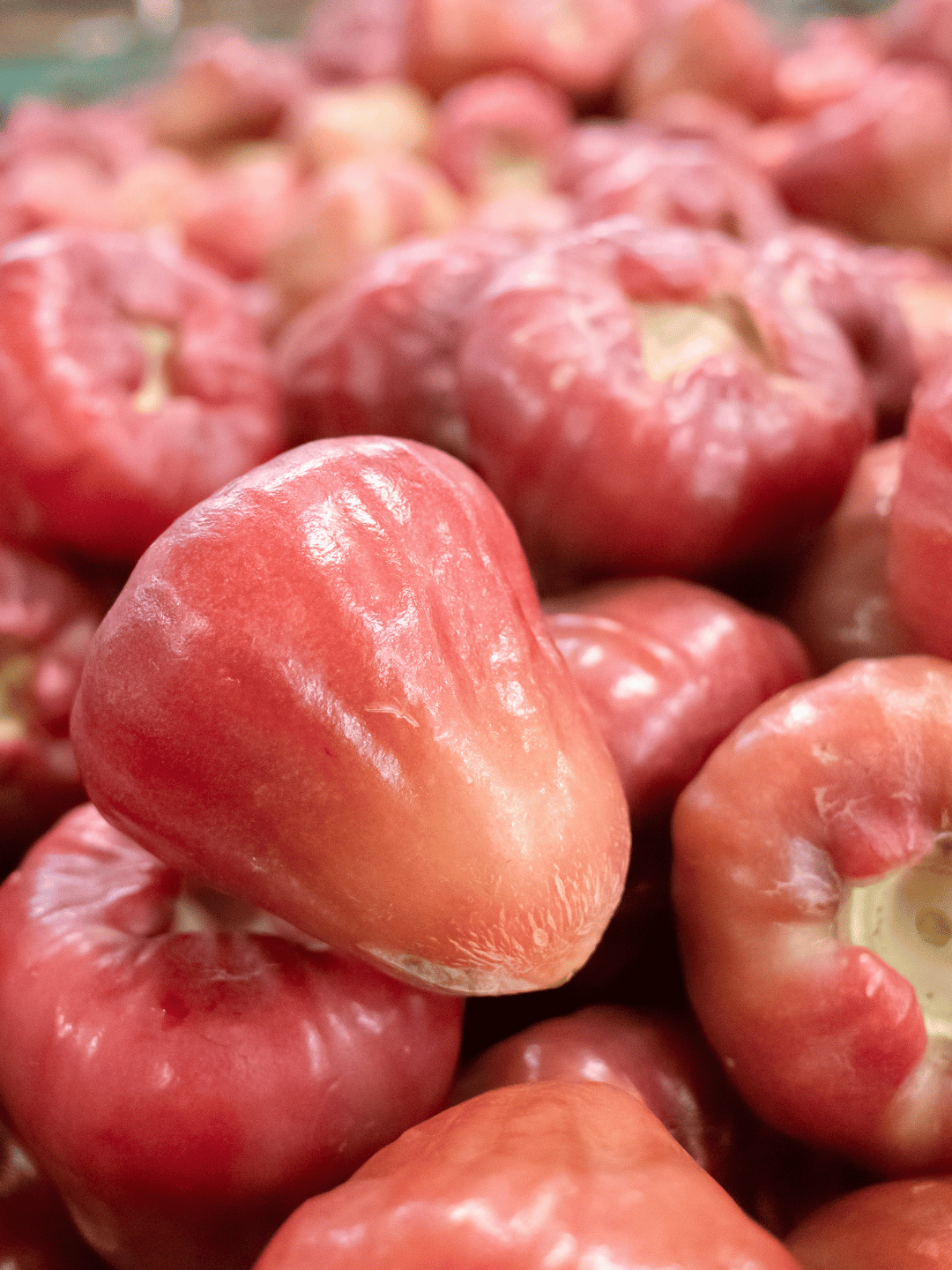 甜度最高不是夏天？農糧署揭蓮霧真正產季