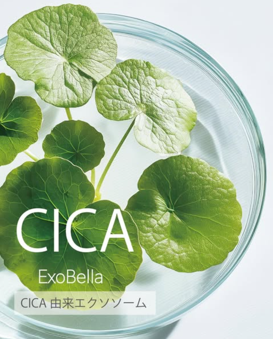 KC SKIN雙重外泌體 突破萃取極限