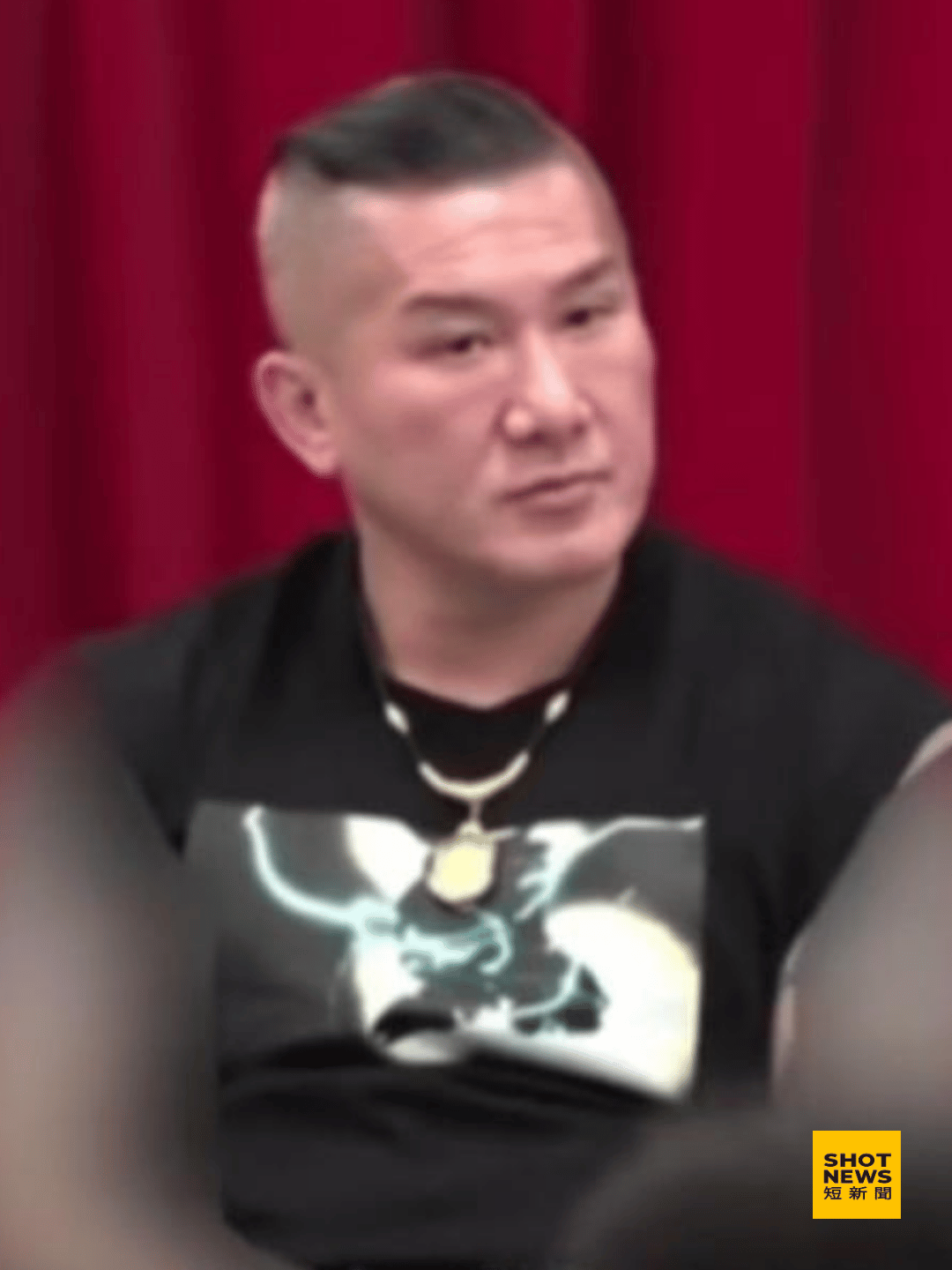 館長陳之漢上中國央視節目時，雙臂刺青遭打上馬賽克。(央視畫面截圖)