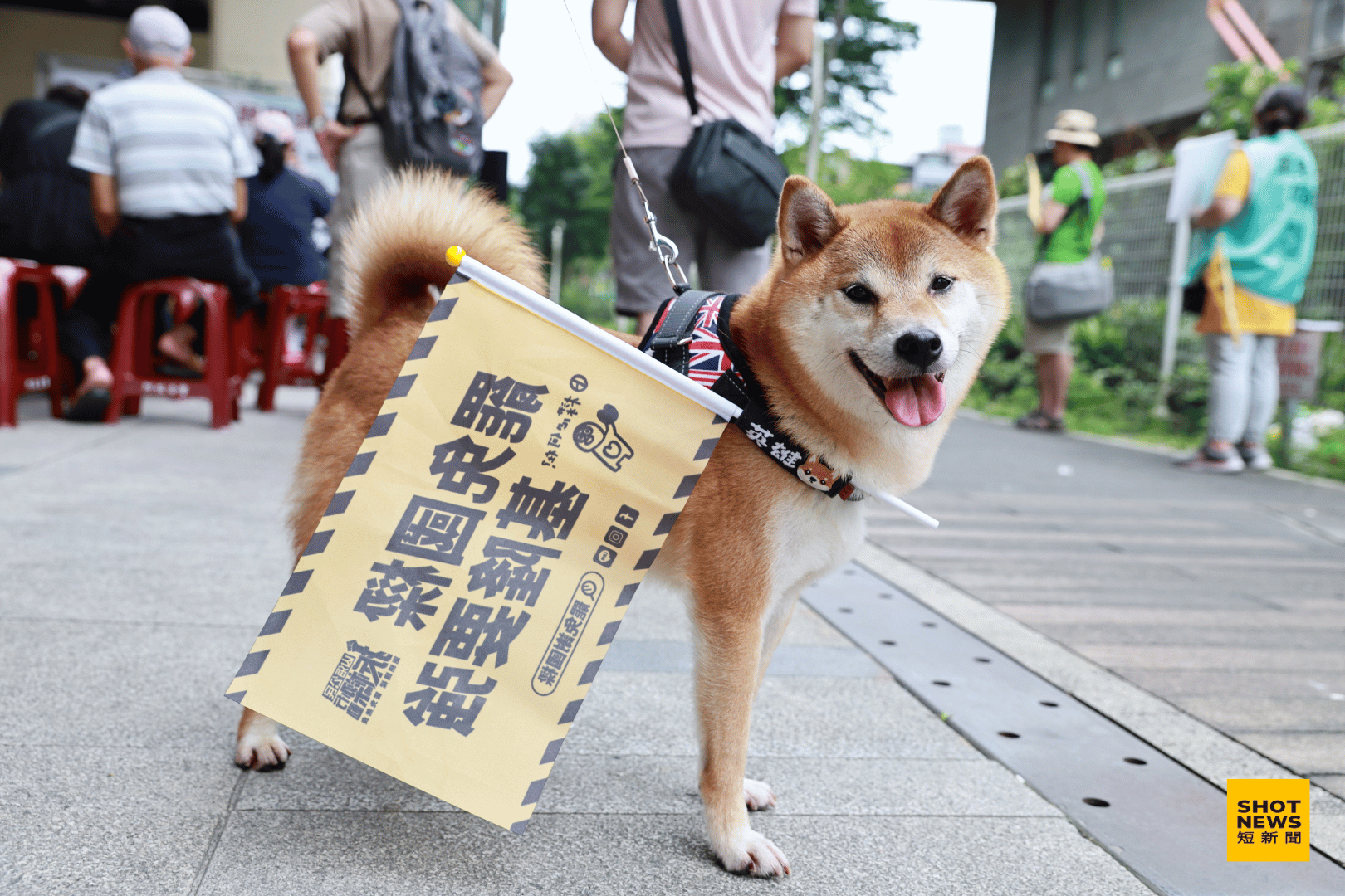 跟著主人一起參與活動的柴犬，模樣相當可愛。(劉祐龍攝影)