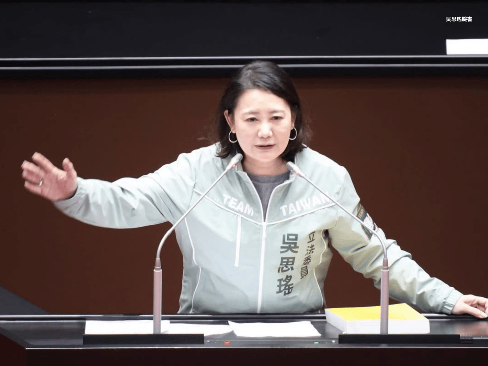中共扶植愛國力量介選 吳思瑤痛批:叛國