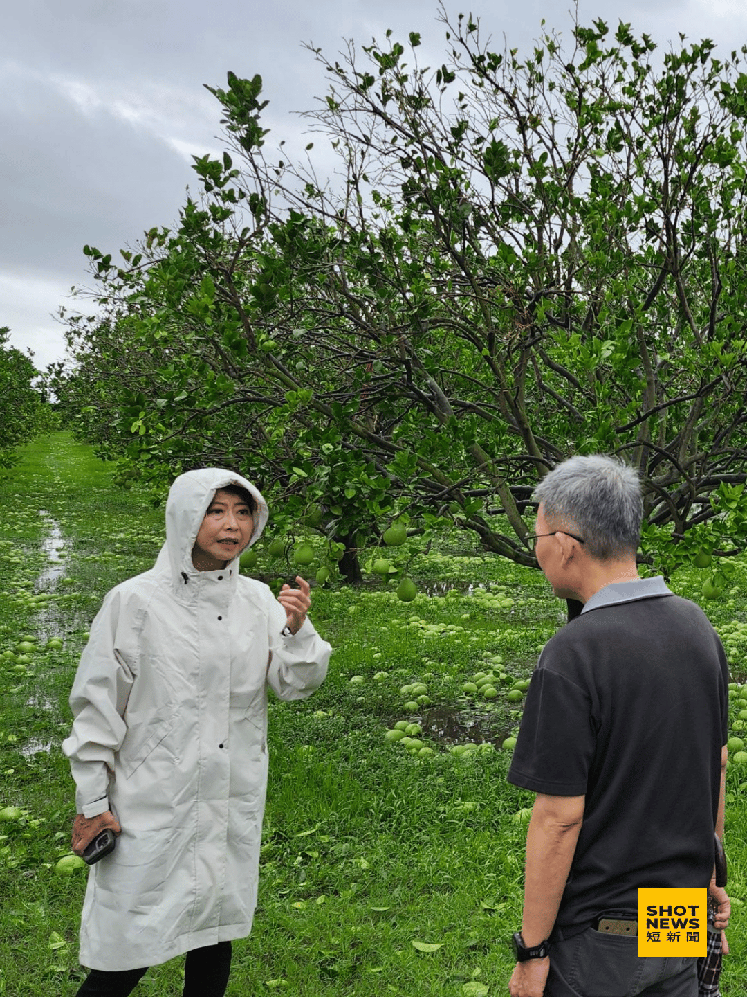 台南農損慘重 陳亭妃急勘災籲速啟救助機制