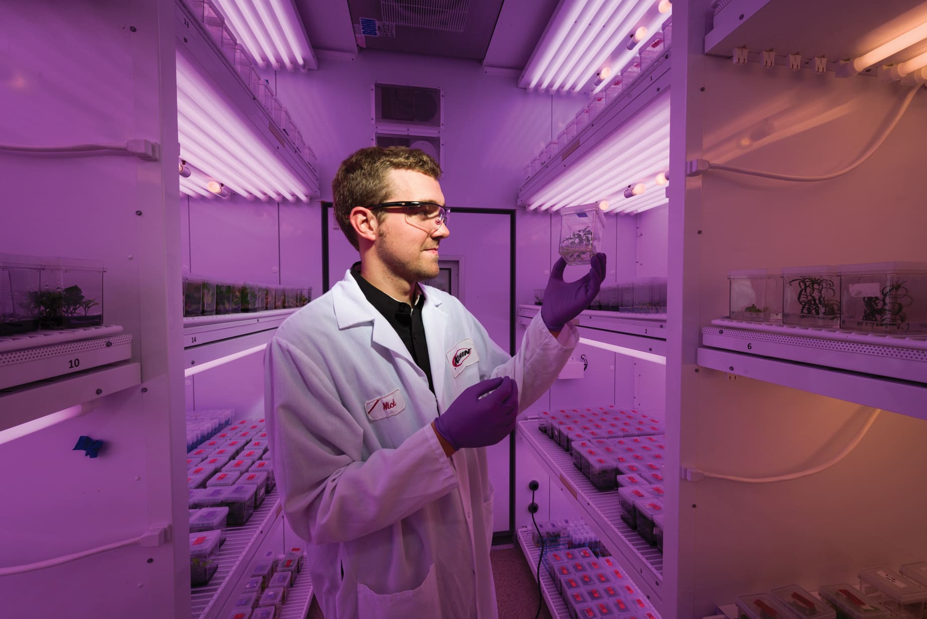 FloraGlo®葉黃素已累積超過 100 篇臨床安全性研究。（圖/Kemin提供）