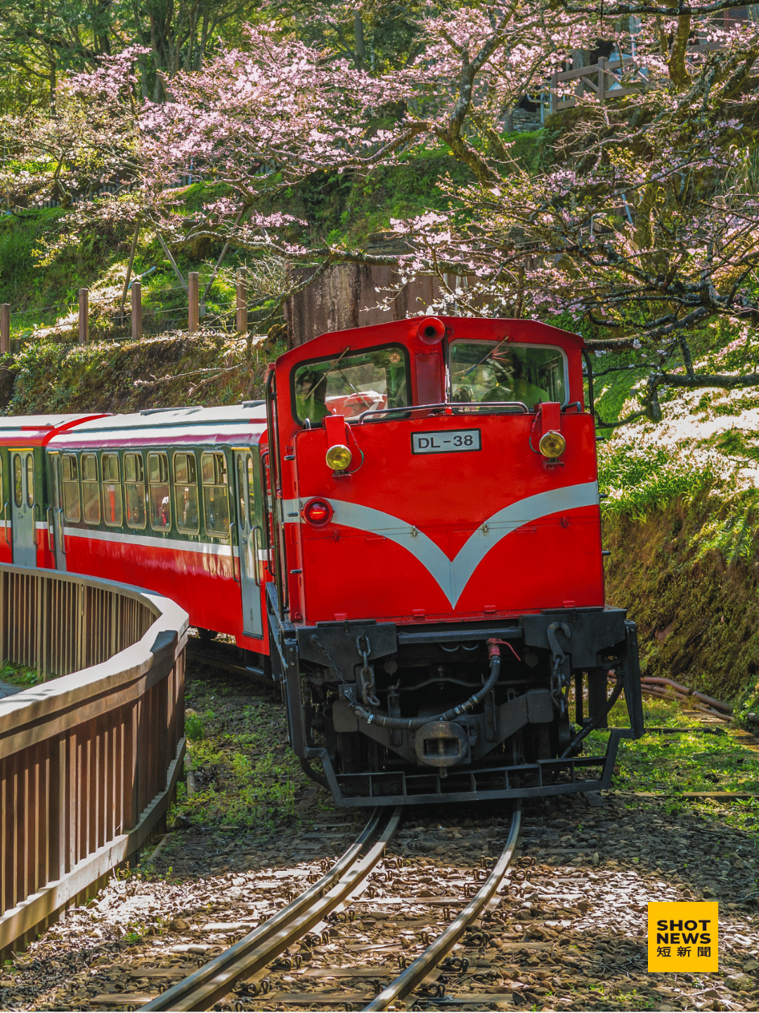 阿里山森林小火車。(圖：Canva)