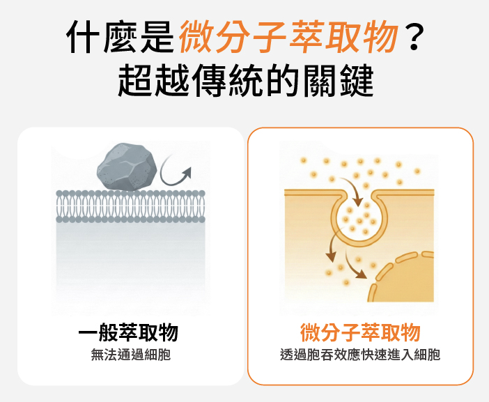 革命性微分子萃取技術 改寫補充品吸收效率