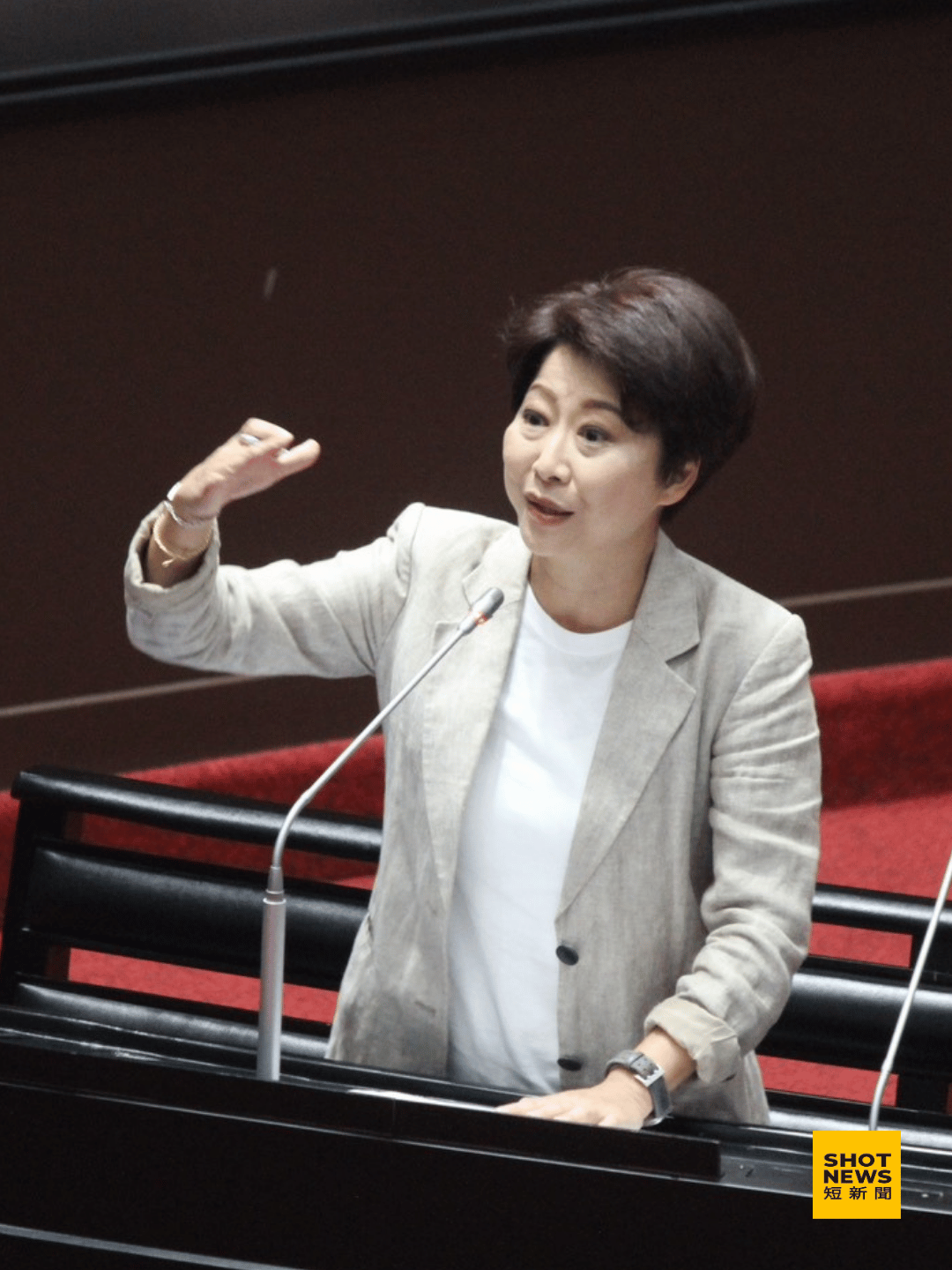 立法委員陳亭妃於立院議場質詢。(陳亭妃提供)