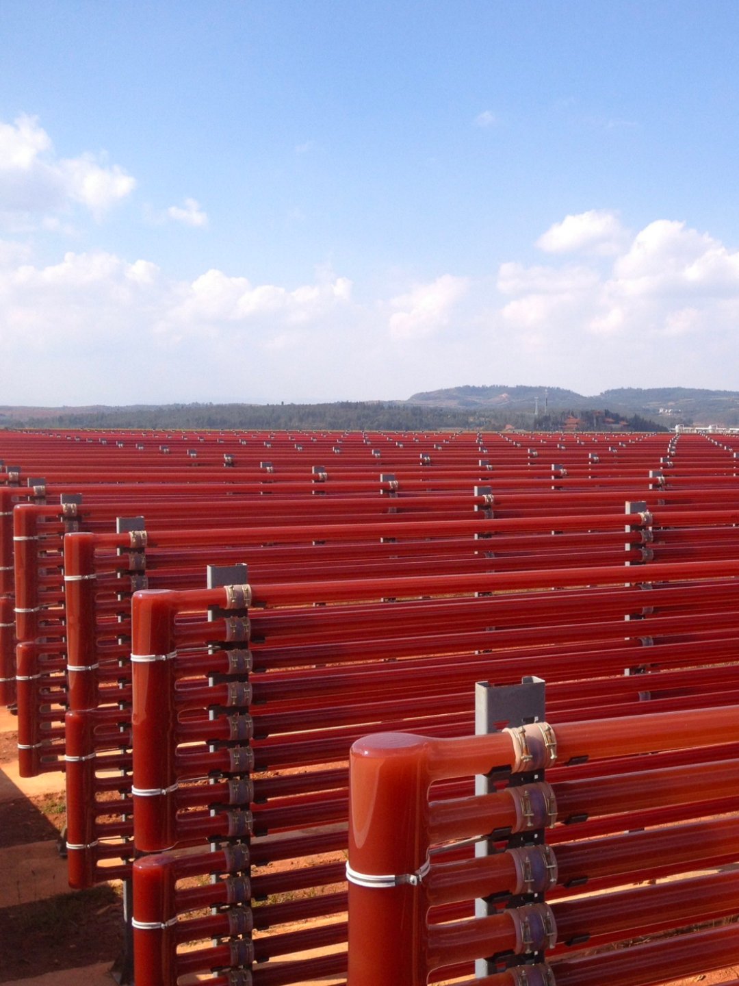 一顆抵兩公斤鮭魚 全球蝦紅素霸主BGG