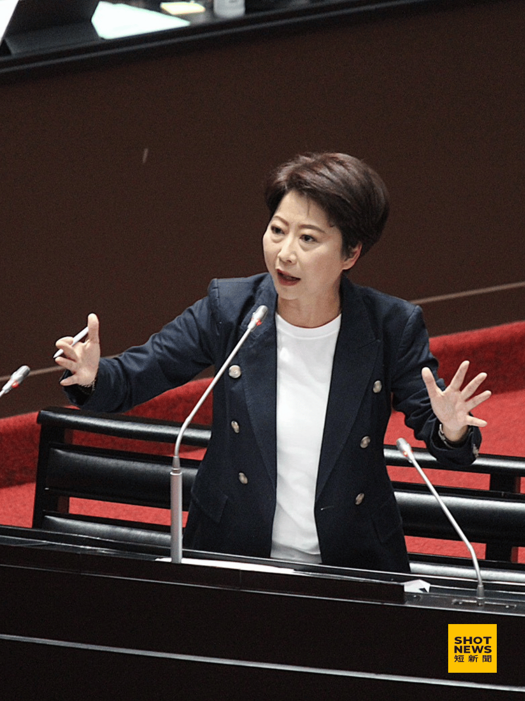 立法委員陳亭妃於議場質詢。(陳亭妃提供)