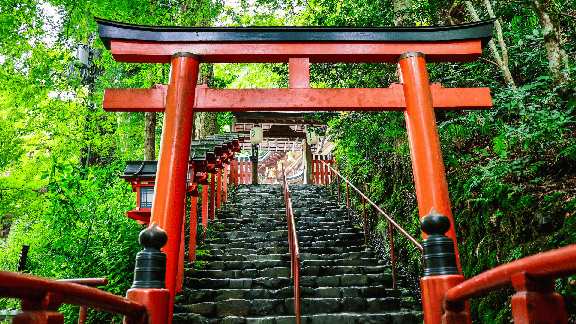 根據日本政府的統計,到2024年底為止沒有在活動的宗教法人高達5019個。(攝/劉祐龍)