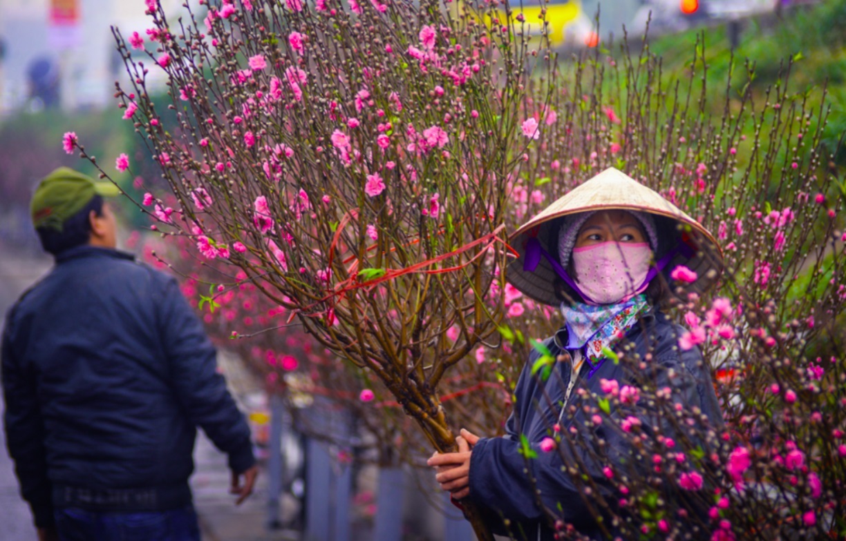 越南農曆新年「丙午年」確定放假九天