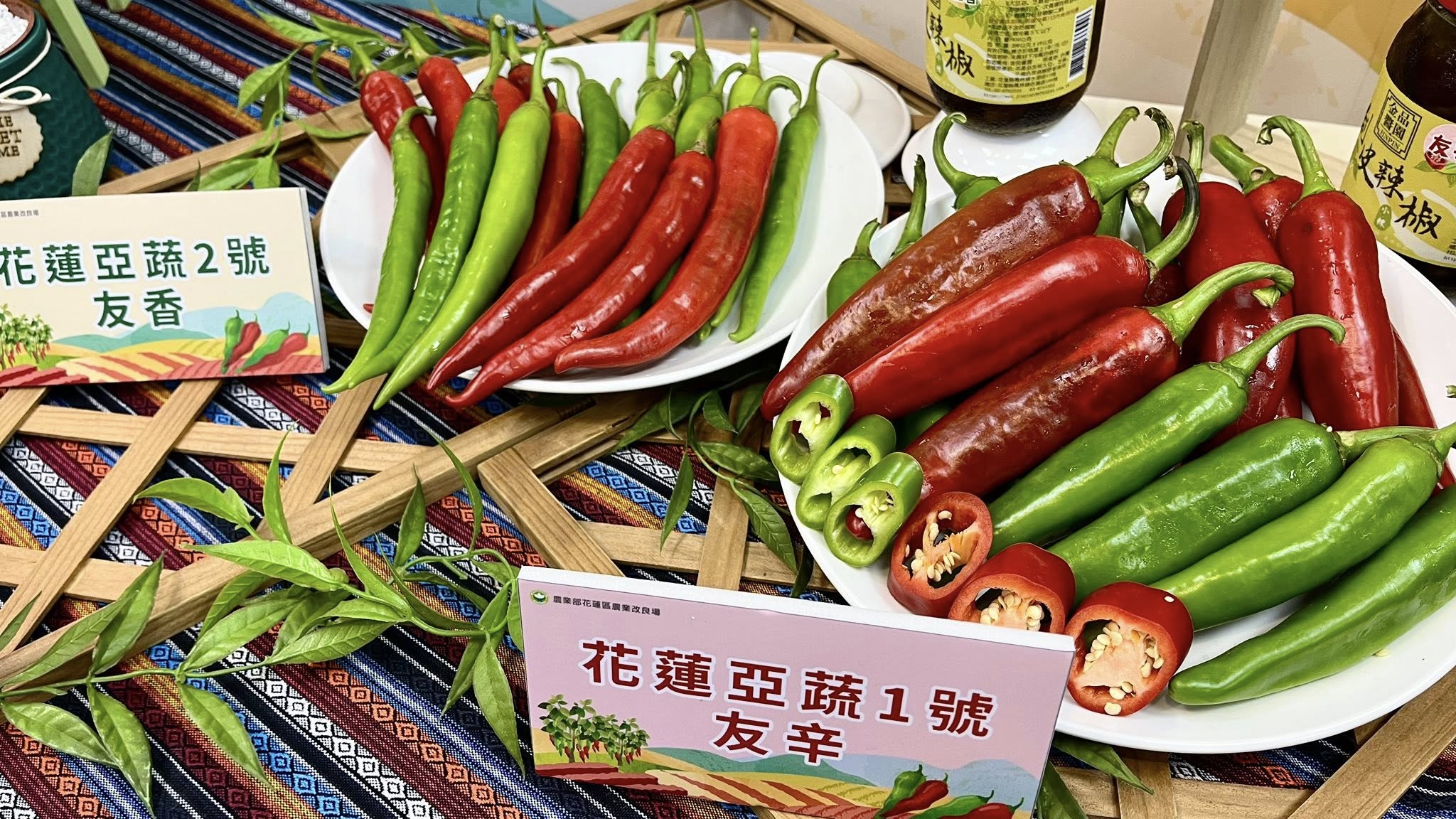 農業部花蓮研發新品種辣椒 友辛友香登場