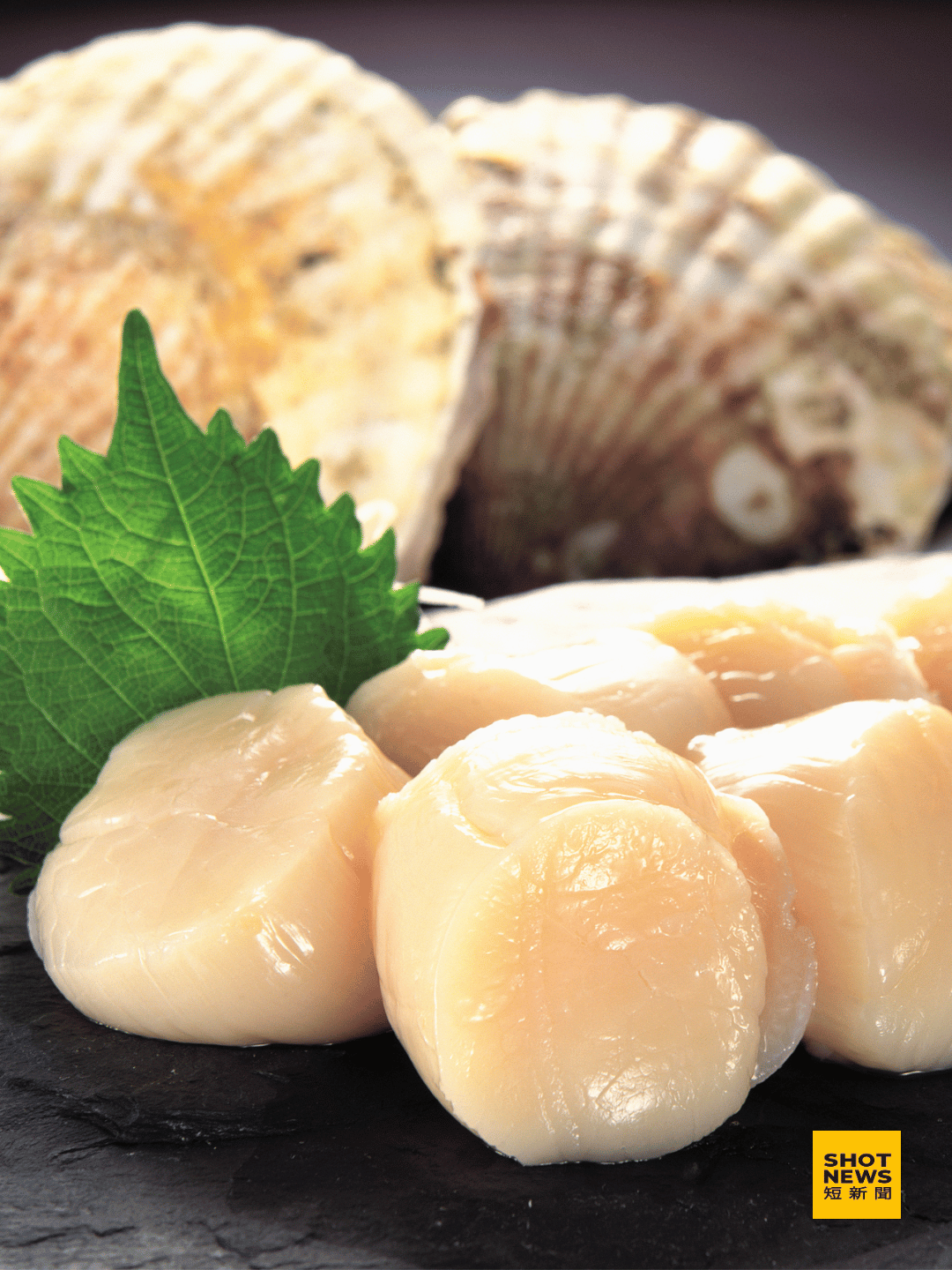 中國水產禁令衝擊有限 日本已開拓新市場